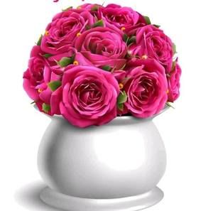 Meet your Posher, Florence